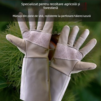 Mănuși de grădină din piele de vită, cu protecție, anti-tăiere și anti-derapare, pentru decojirea durianului, recoltarea castanelor, tăierea ardeilor și a trandafirilor