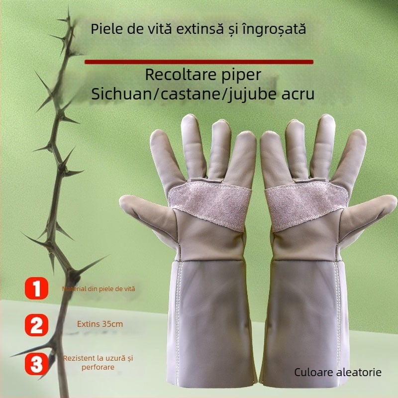 Mănuși de grădină din piele de vită, cu protecție, anti-tăiere și anti-derapare, pentru decojirea durianului, recoltarea castanelor, tăierea ardeilor și a trandafirilor