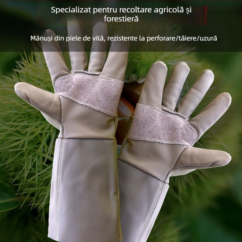 Mănuși de grădină din piele de vită, cu protecție, anti-tăiere și anti-derapare, pentru decojirea durianului, recoltarea castanelor, tăierea ardeilor și a trandafirilor
