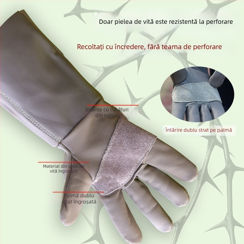 Mănuși de grădină din piele de vită, cu protecție, anti-tăiere și anti-derapare, pentru decojirea durianului, recoltarea castanelor, tăierea ardeilor și a trandafirilor