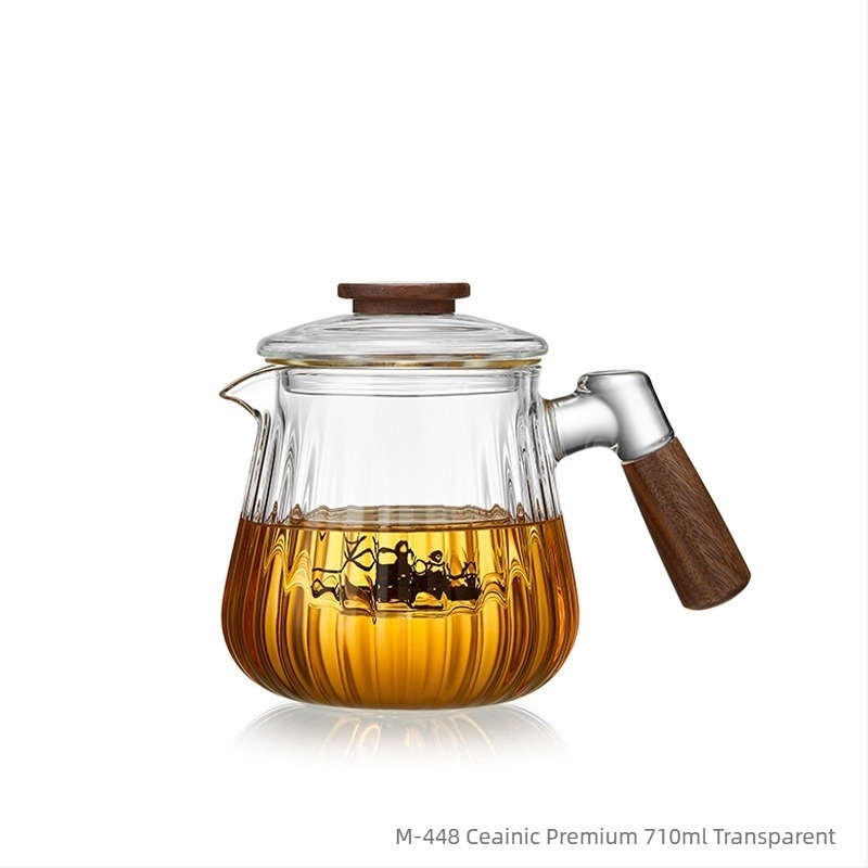 Ceainic din sticlă borosilicată, cu filtru, mâner lateral, pentru casă și birou — set de ceainic