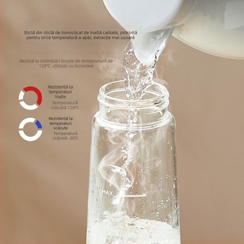 Set pentru extracție la rece din sticlă borosilică: ceainic pentru cafea rece, ceașcă pentru cafea rece, sticluță cu apă rece, sticluță cu ceai de fructe