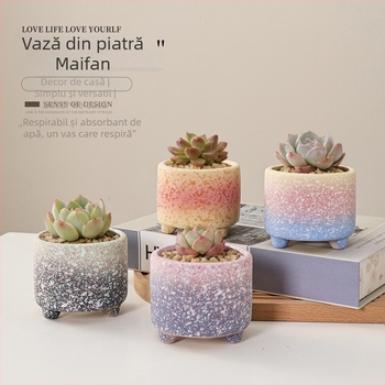 Ghiveci pentru suculente din ceramică brută, pentru interior