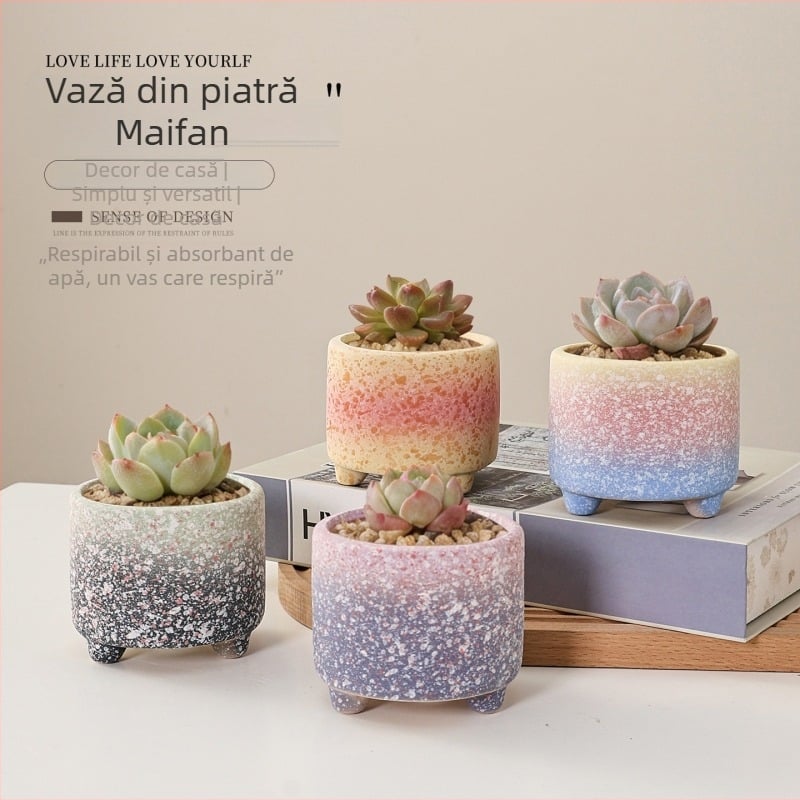 Ghiveci pentru suculente din ceramică brută, pentru interior