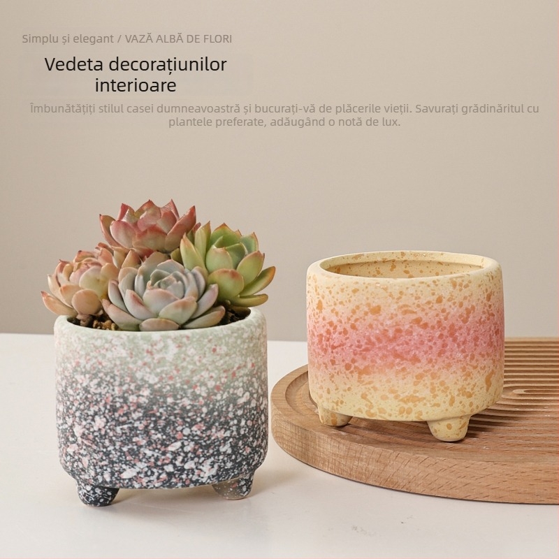 Ghiveci pentru suculente din ceramică brută, pentru interior