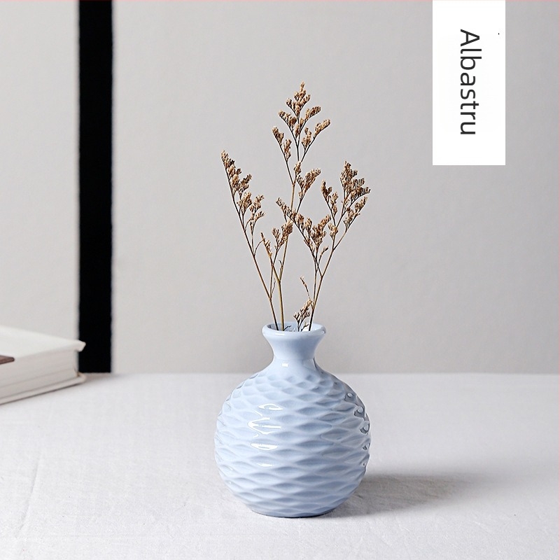 Vază en gros pentru living, design simplu și modern din ceramică europeană, aranjament hidroponic mini creativ