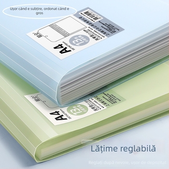 Organizator acordeon pentru fișe de examen, format A4, 13 compartimente, capacitate mare