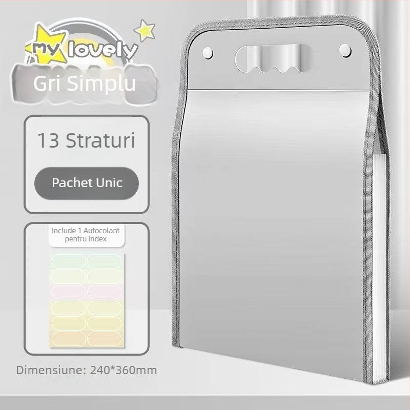 Mapă A4 cu 13 buzunare, tip acordeon, cu mâner, pentru elevi
