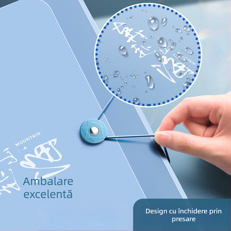 Dosar A4 cu mai multe compartimente, buzunare transparente pentru foi – organizator pentru elevi