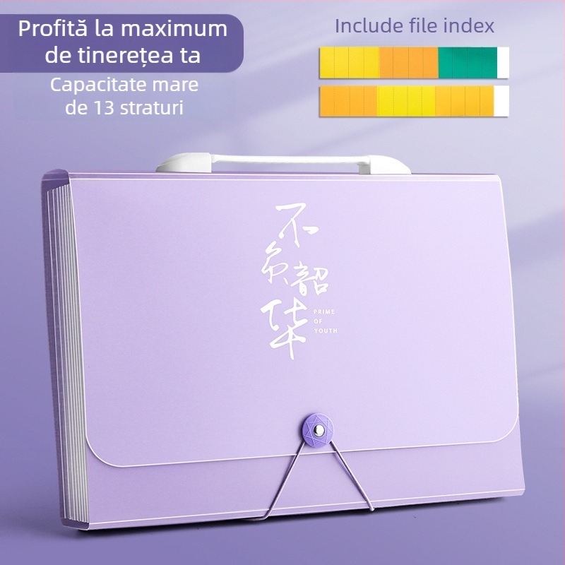 Dosar A4 cu mai multe compartimente, buzunare transparente pentru foi – organizator pentru elevi