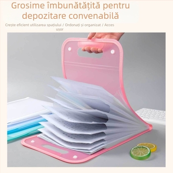 Organizator portabil tip acordeon pentru elevi, clasificare pe materii, A4 cu capacitate mare, buzunare cu mai multe niveluri