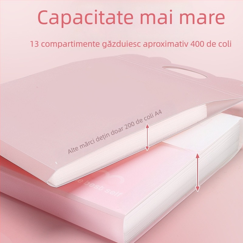 Dosar acordeon cu 13 compartimente pentru elevi, portabil, capacitate mare, organizare pe materii