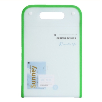 Fișier A4 tip acordeon cu margine verticală, 12 compartimente, PP mat, ștampilare cu folie metalică