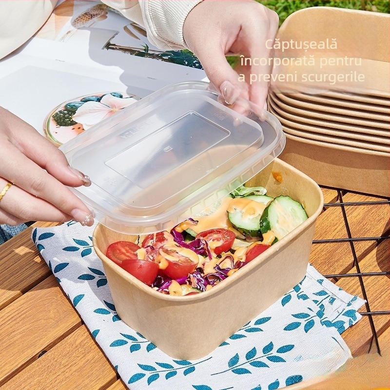 Cutie de prânz de unică folosință din hârtie kraft, pentru picnic și camping în aer liber – sushi