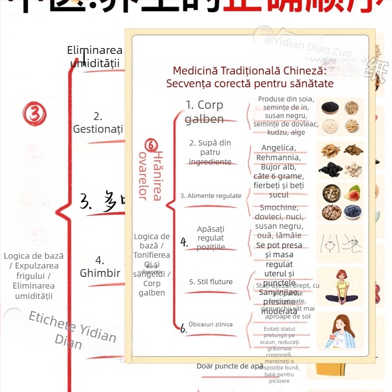 12 stickere pentru rutină de sănătate în medicina tradițională chineză — caiet impermeabil cu stickere