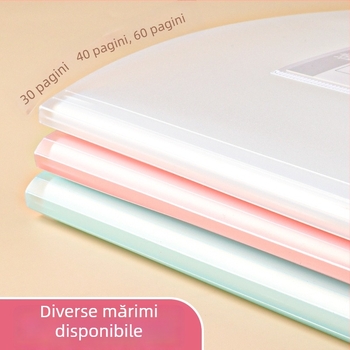 Dosar din plastic A3 pentru fișe de test, cu buzunare transparente