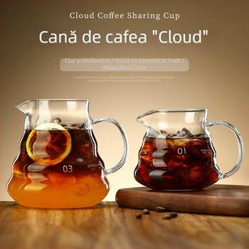 Cană de cafea în stil japonez pentru turnare, recipient pentru cold brew, carafă din sticlă rezistentă la temperaturi înalte, set profesional pentru cafea filtrată