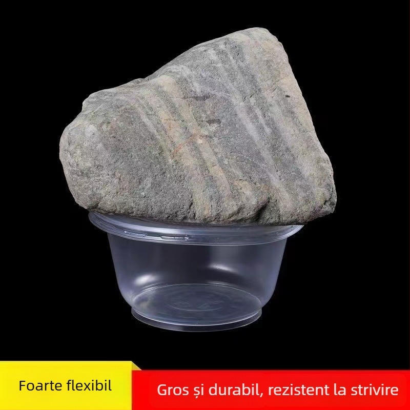 Set de boluri din plastic, unică folosință, calitate alimentară, îngroșat, pentru uz casnic, cu capac, rezistent la temperaturi înalte, potrivit pentru nunți și inaugurări