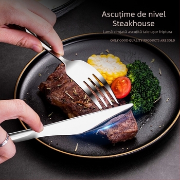 Set tacâmuri din oțel inoxidabil 304 pentru uz casnic și hotelier – cuțit pentru steak, furculiță, lingură, lingură de desert, furculiță pentru fructe; imprimare logo disponibil