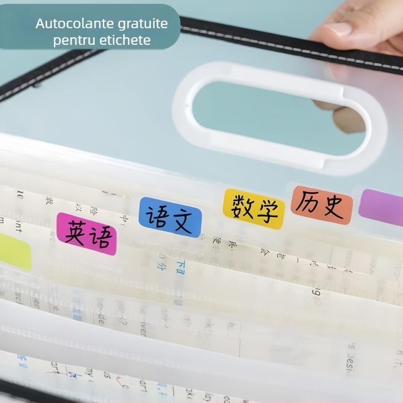 Organizator acordeon A4, cu 13 buzunare, pentru documente școlare și materii