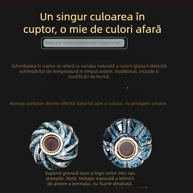 Căniță de ceai Jianzhan cu glazură Starry Sky, set ceramic Kung Fu pentru casă sau birou – cadou