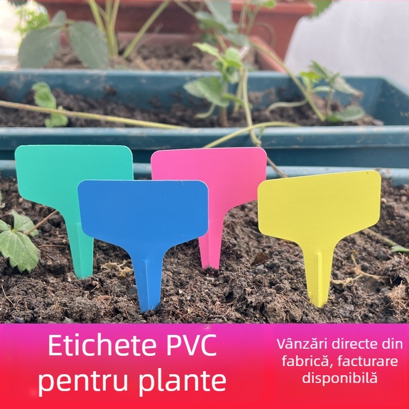 Etichete plastice pentru plante suculente, markere pentru ghivece, inserții groase pentru ghivece