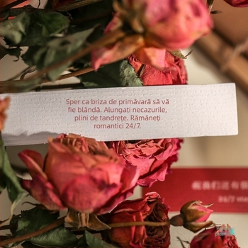 Set de autocolante pentru planner — romantic și neînfrânt, cu citate despre dragoste și autocolante artistice pentru jurnal