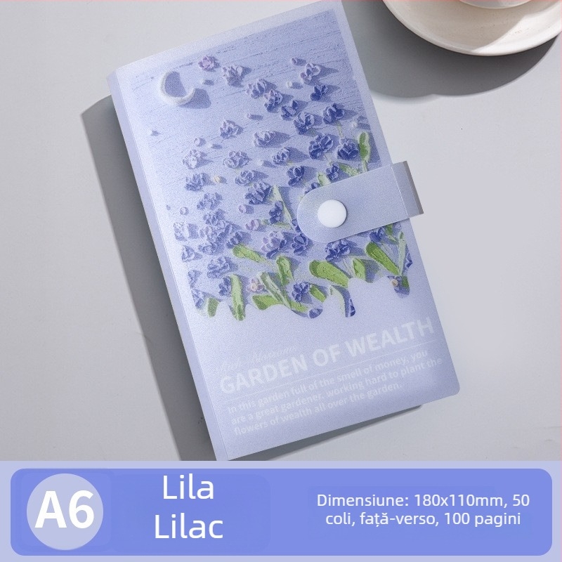 Nou A6 Carte de economii cu pictură în ulei 3D, husă din plastic, album de depozitare pentru bani și bancnote comemorative.