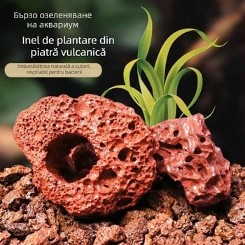 Inel din piatră vulcanică pentru plante acvatice, inel perforat cu bază fixă, inel de scufundare pentru amenajarea acvariului
