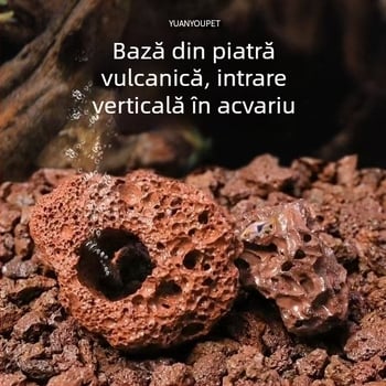 Inel din piatră vulcanică pentru plante acvatice, inel perforat cu bază fixă, inel de scufundare pentru amenajarea acvariului
