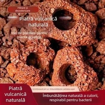 Inel din piatră vulcanică pentru plante acvatice, inel perforat cu bază fixă, inel de scufundare pentru amenajarea acvariului