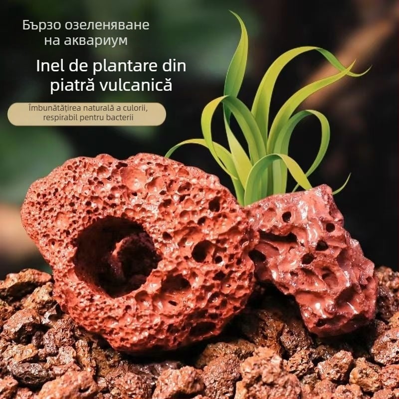 Inel din piatră vulcanică pentru plante acvatice, inel perforat cu bază fixă, inel de scufundare pentru amenajarea acvariului