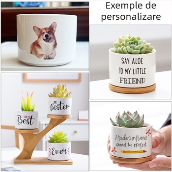 Ghiveci alb din porțelan pentru suculente, ceramic, design minimalist pentru grădinărit modern acasă