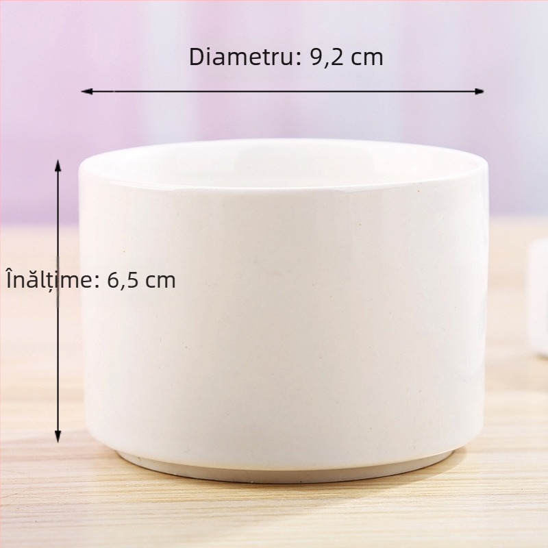 Ghiveci alb din porțelan pentru suculente, ceramic, design minimalist pentru grădinărit modern acasă