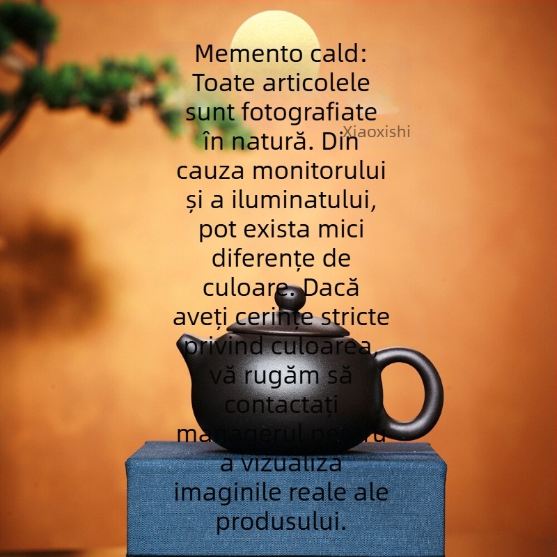 Ceainic cu capacitate mică Yixing din lut purpuriu, pentru uz casnic, set Gongfu de ceai