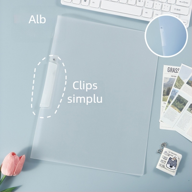 Dosar A4 cu inserții colorate și organizator