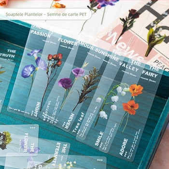 PET Semn de carte transparent – seria Plante Naturale, Flori uscate margarete, Design artistic, DIY