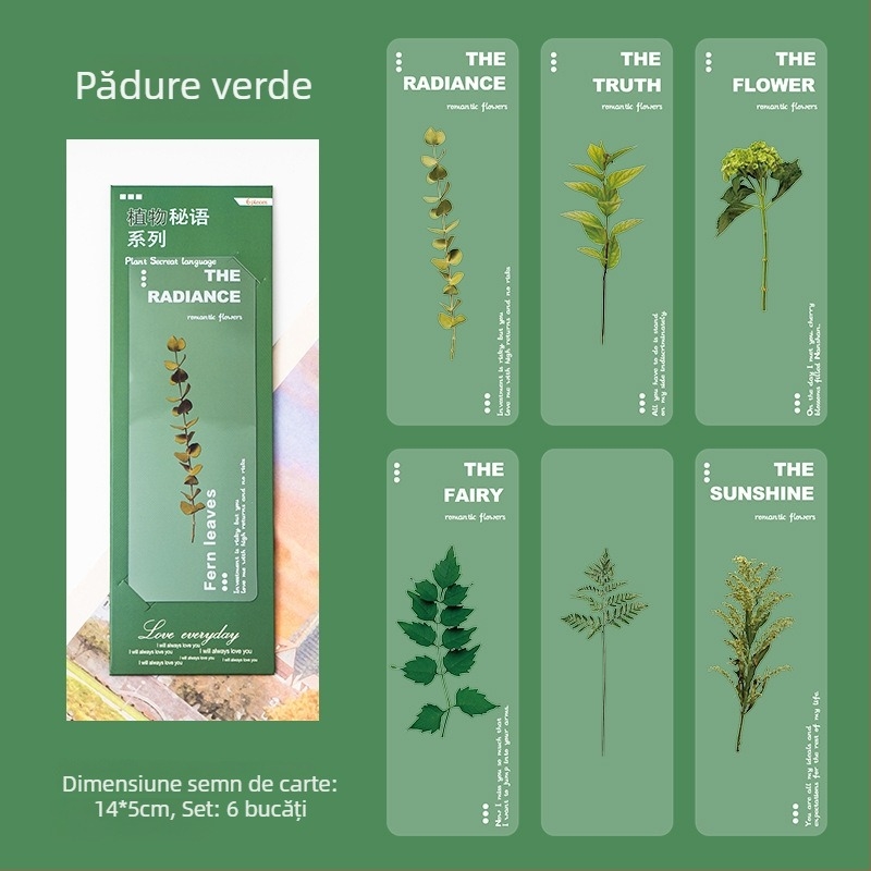 PET Semn de carte transparent – seria Plante Naturale, Flori uscate margarete, Design artistic, DIY