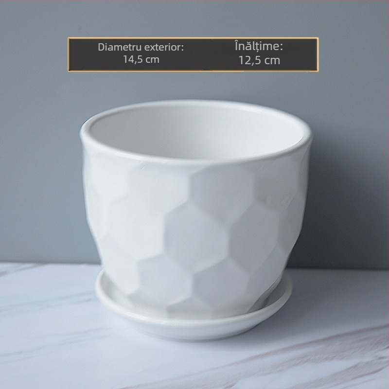 Ghiveci ceramic cu farfurie pentru birou și balcon, pentru suculente, cu dungi albe, suport pentru plante