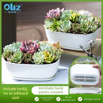 Ghiveci minimalist din plastic pentru suculente, cu design în inele de creștere, durabil pentru casă și birou