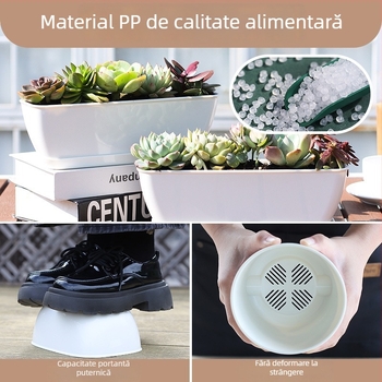 Ghiveci minimalist din plastic pentru suculente, cu design în inele de creștere, durabil pentru casă și birou
