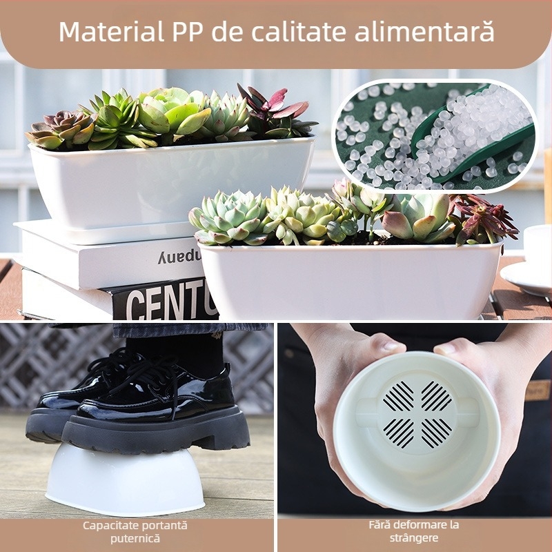 Ghiveci minimalist din plastic pentru suculente, cu design în inele de creștere, durabil pentru casă și birou