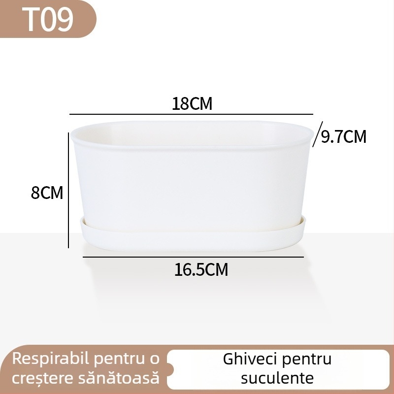 Ghiveci minimalist din plastic pentru suculente, cu design în inele de creștere, durabil pentru casă și birou
