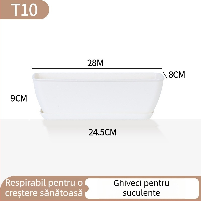 Ghiveci minimalist din plastic pentru suculente, cu design în inele de creștere, durabil pentru casă și birou