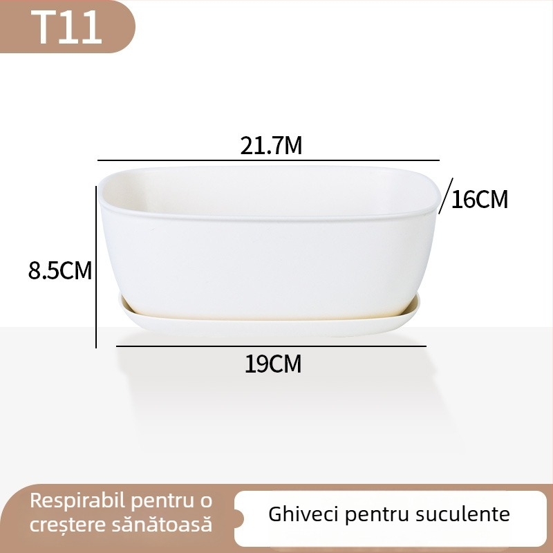 Ghiveci minimalist din plastic pentru suculente, cu design în inele de creștere, durabil pentru casă și birou
