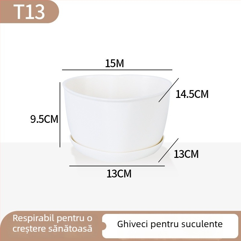 Ghiveci minimalist din plastic pentru suculente, cu design în inele de creștere, durabil pentru casă și birou
