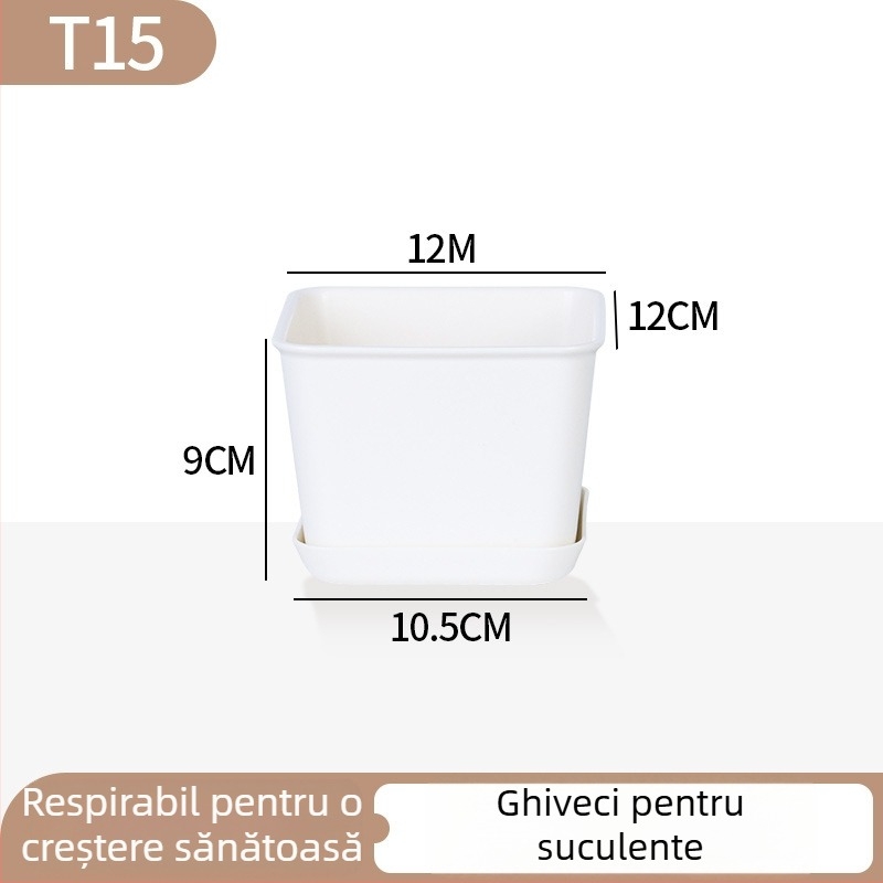 Ghiveci minimalist din plastic pentru suculente, cu design în inele de creștere, durabil pentru casă și birou