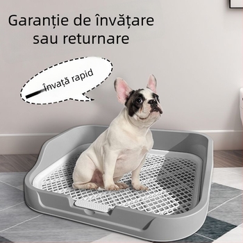 Toaletă pentru câini de talie mică, Bichon Frise, tavă de urină și platou pentru eliminare