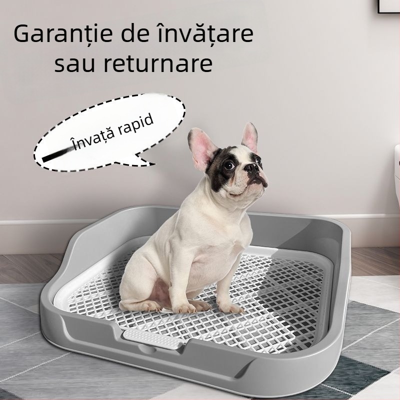 Toaletă pentru câini de talie mică, Bichon Frise, tavă de urină și platou pentru eliminare