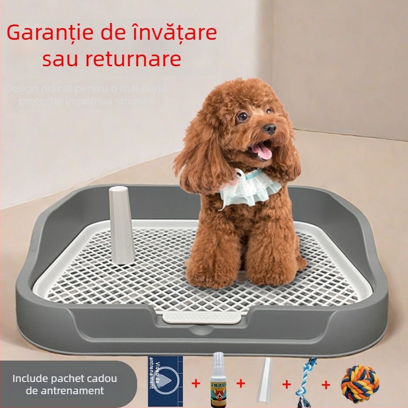 Toaletă pentru câini de talie mică, Bichon Frise, tavă de urină și platou pentru eliminare
